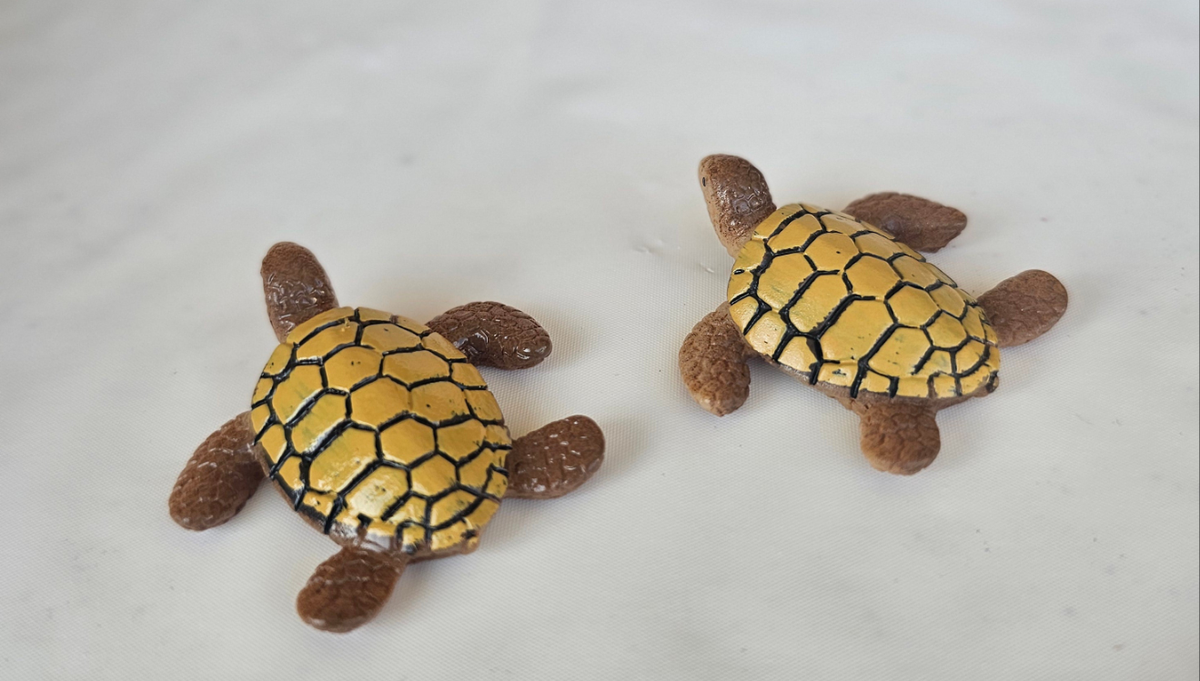Turtles Picture Frame Kit "Swimming Turtles Design"