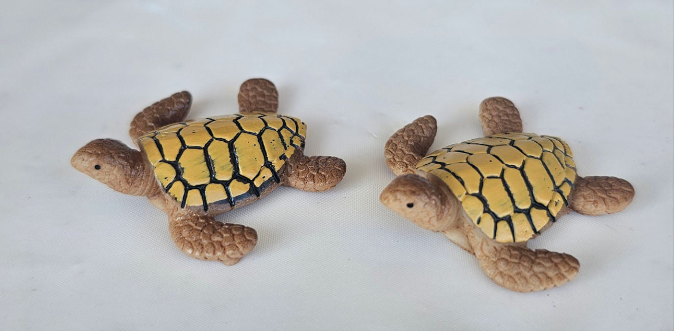 Turtles Picture Frame Kit "Swimming Turtles Design"